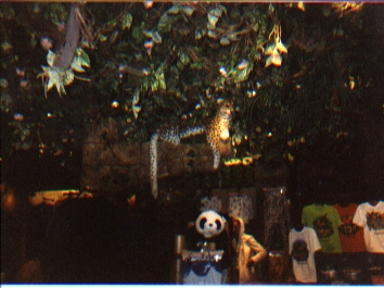 Almost all the critters there are mechanical.